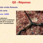 Reponse_Q05